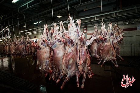 قیمت گوشت قرمز در بازار؛ ۵۰ تا ۱۲۰ هزار تومان