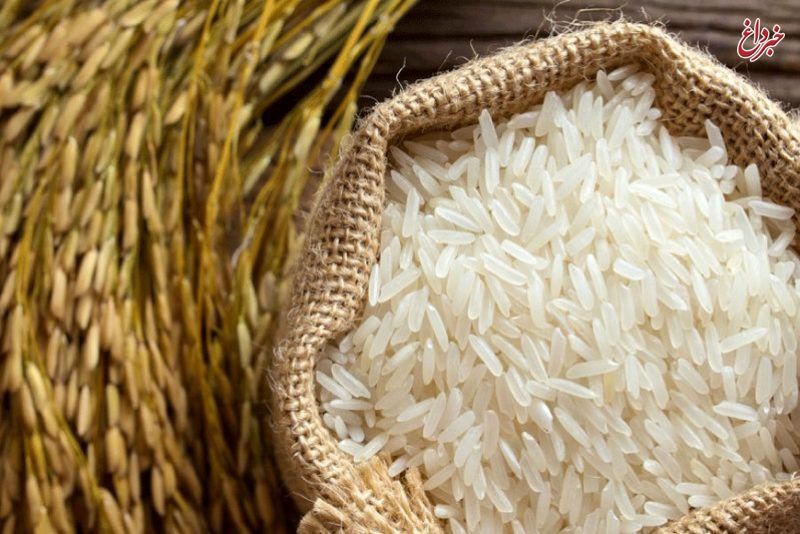 دبیر انجمن تولیدکنندگان برنج : سود گرانی برنج داخلی در جیب واردکنندگان و دلالان رفت