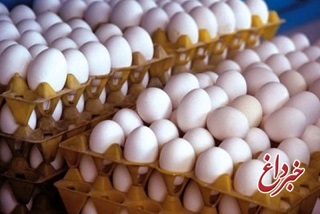 تخم مرغ به کیلویی ۵۰۰۰ تومان رسید
