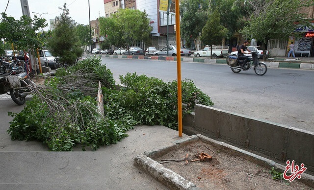 وقوع باد شدید در برخی مناطق کشور طی امروز و فردا