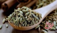 3 روش کاهش وزن با رازیانه