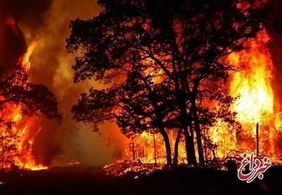 آتش سوزی ۱۰۰ هکتار از اراضی و جنگل‌های سردشت