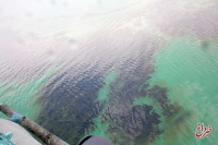 شناسایی منشأ آلودگی نفتی آبخوان منطقه ری
