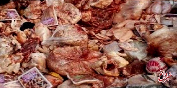 110 کیلوگرم گوشت فاسد قرمز در قزوین کشف و معدوم شد