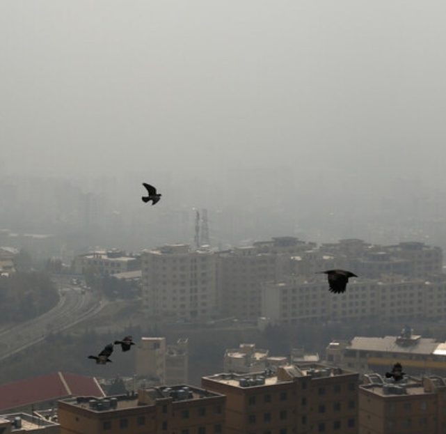 معاون وزیر بهداشت: ۳هزار مرگ در تهران به دلیل آلودگی هوا در سال گذشته