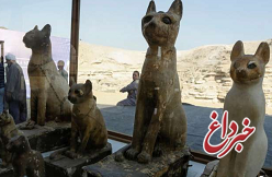 رونمایی بیش از 70 شیر و گربه مومیایی شده در مصر