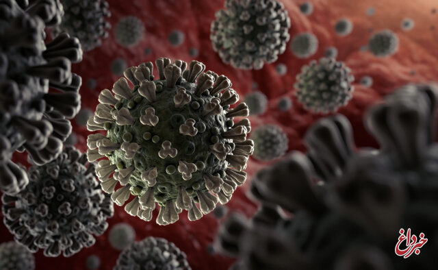 WHO: کرونا ۱۰ برابر بیش از آنفلوآنزای خوکی کشنده است