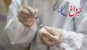 ۷ بیمار مبتلا به کرونای انگلیسی در استان قزوین شناسایی شد
