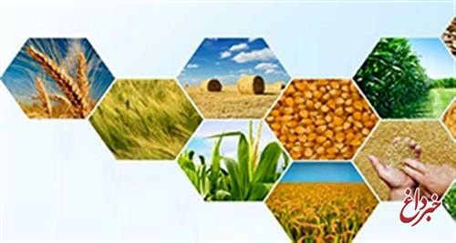 شرکت‌های ایرانی؛ اولویت دولت برای خرید محصولات کشاورزی و دامی