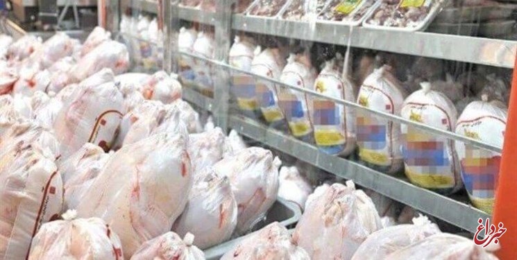 استانداری تهران: عرضه مرغ ۳ برابر شد / برای حدود ۵۰ درصد از خرده‌فروشان متخلف پرونده تشکیل شده