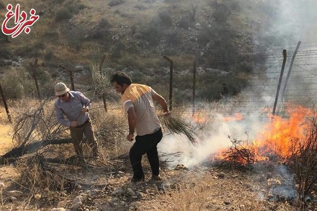 آتش در کوه سیاه دشتستان مهار شد