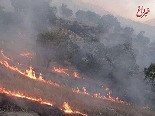 شعله‌ور شدن مجدد آتش در منطقه حفاظت شده خائیز/ محیط زیست: ملتمسانه از مردم تقاضای کمک داریم