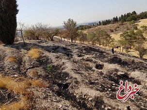 شورای شهر: آتش سوزی بوستان چیتگر تهران عمدی بود