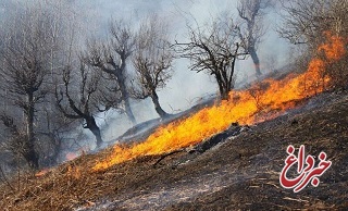آتش در روستای آتشگاه لنده (کهگیلویه و بویر احمد) دوباره شعله‌ور شد