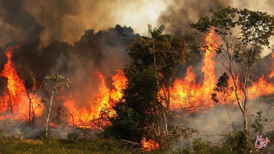 آتش‌سوزی گسترده در جنگل‌های پاوه / ۳۸۰ هکتار از مراتع منطقه طعمه حریق شد / جانباختن یکی از نیرو‌های امدادی هنگام اطفا آتش