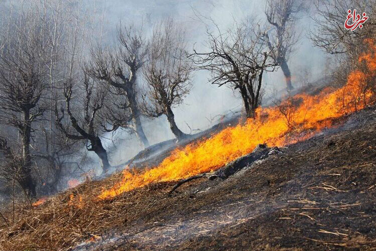 وقوع ۱۲۰۰ آتش‌سوزی جنگلی و مرتعی در ۳ ماه / ۴۰ نفر دستگیر شده‌اند