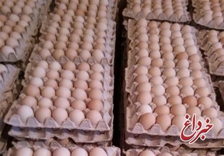 قیمت هر شانه تخم‌مرغ به ۲۸ هزار تومان رسید؛ ۱۱ هزار تومان بالاتر از نرخ مصوب