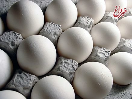 قیمت تخم مرغ اعلام شد / هر شانه ۳۰ عددی بسته به وزن حدودا ۲۰ هزار تومان