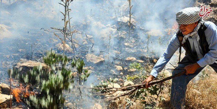 آتش سوزی مراتع پاوه جان ۳ «فعال محیط زیست» را گرفت / ۵۰۰ هکتار «طعمه حریق» شد