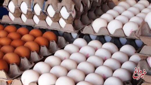 تخم‌مرغ چند نرخی شد/ هر شانه تخم مرغ ۲۵ یا ۳۵ هزار تومان؟