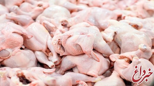 افزایش قیمت مرغ به ۳۰ هزار تومان در صورت حذف ارز ۴۲۰۰ تومانی