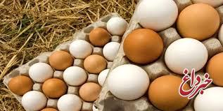 تخم مرغ شانه‌ای ۲۰هزار تومان عرضه می‌شود