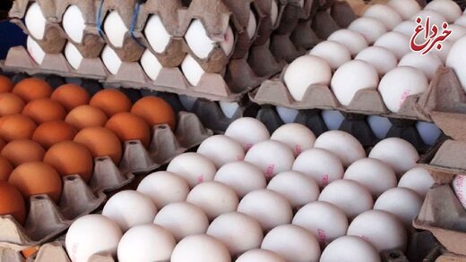 قیمت تخم‌مرغ بسته‌بندی تعیین شد