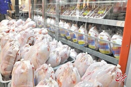 جولان مرغ‌های گران در بازار/سود گران‌فروشی مرغ به جیب چه کسی می‌رود؟