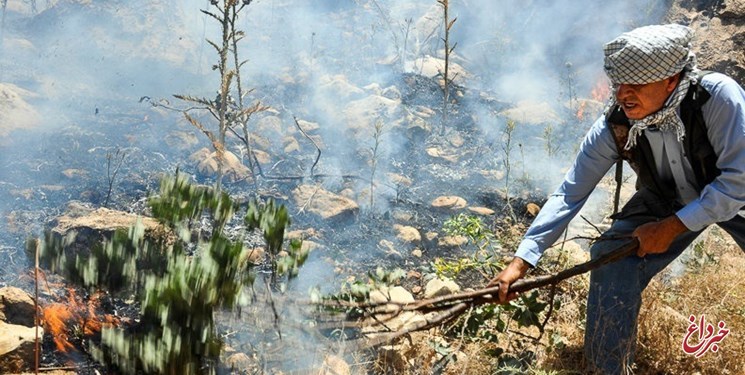آتش‌سوزی در «جنگل فندقلو» مهار شد