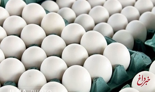 ضوابط صادرات تخم‌مرغ در آبان ماه اعلام شد +سند