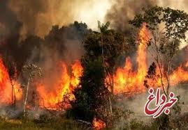 تکذیب آتش‌سوزی دوباره در توسکستان گرگان