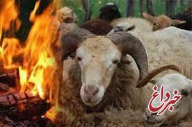 ۱۰۰ راس گوسفند بر اثر آتش‌سوزی تلف شدند