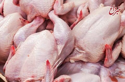 قیمت مرغ یک هفته دیگر به نرخ قبل بازمی‌گردد
