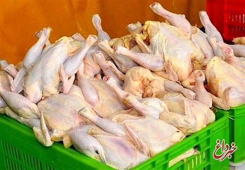معاون استاندار تهران: فروش مرغ بالاتر از قیمت ۲۰۴۰۰ تخلف است