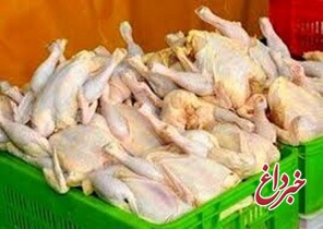 قیمت مرغ در دی ماه چه قدر خواهد شد؟