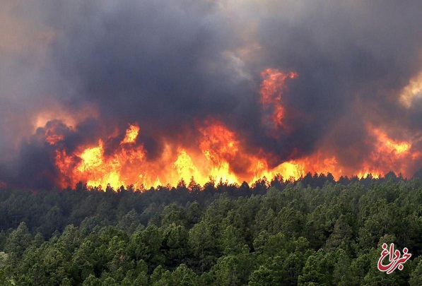 وقوع ۳۰ فقره آتش‌سوزی در جنگل‌های شمال از ابتدای فروردین و توصیه‌هایی به گردشگران