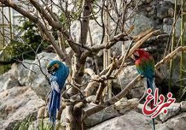 ورود قوه‌قصائیه به وضعیت نابسامان باغ پرندگان