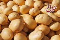 عرضه سیب‌زمینی دولتی در میادین تهران