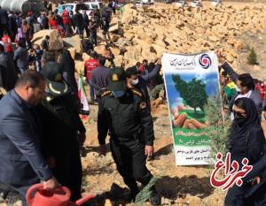 همراهی پرسنل بانک ایران زمین، در مراسم درختکاری