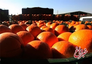 اعلام قیمت مصوب میوه شب عید؛ هر کیلو پرتقال ۹ هزار تومان، سیب قرمز ۱۱ هزار تومان و سیب زرد ۱۲ هزار تومان