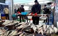 ۳۵۰ گرم ماهی ۲۹۰ هزار تومان/ جدول قیمت انواع ماهی در بازار