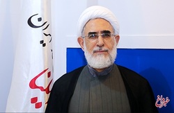 منتجب‌نیا: جمهوری اسلامی ایران تنها یک مرجع قانونگذاری دارد و آن «مجلس شورای اسلامی» است
