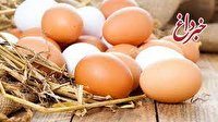 قیمت هر کیلو تخم مرغ ۱۵ هزار و ۲۰۰ تومان / صادرات تخم مرغ از ابتدای امسال به ۵ هزار و ۴۰۰ تن رسید