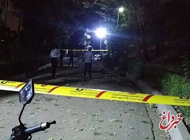 پلیس: حادثه پارک ملت تهران موضوع خاصی نبود؛ فقط تعدادی برگ و شاخه درخت بر زمین ریخت / حریق و انفجار برخی از ساختمان‌های پایتخت واقعیت ندارد؛ فیلم‌های منتشر شده مربوط به این حادثه نیست