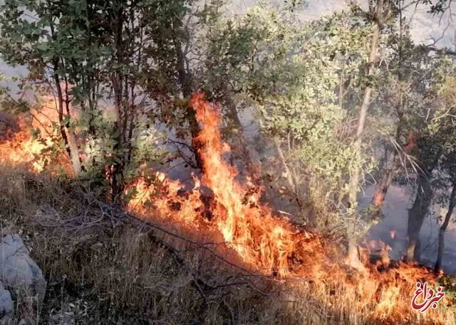 آتش سوری در جنگلهای «نارک» گچساران / یک بالگرد در حال انتقال نیروها برای اطفای حریق است / ۳ بالگرد دیگر از تهران و شیراز در حال اعزام هستند