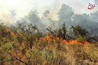 آتش سوزی جنگل‌های «شبلیز» شهرستان دنا مهار شد