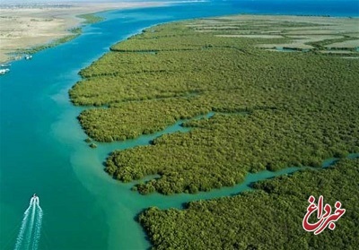 محیط زیست: در آینده نزدیک خلیج‌فارس شورترین پهنه‌ آبی بزرگ دنیا می‌شود / جلوگیری از ورود آب‌ شیرین به دریا از عوامل اصلی ایجاد این فاجعه است