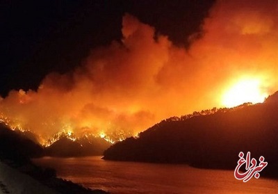 ادامه آتش سوزی در جنگل‌های ترکیه / اردوغان وضعیت «فاجعه زده» اعلام کرد