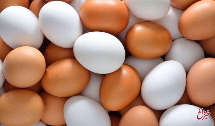 ۱۰ هزار تن تخم مرغ وارد می‌شود