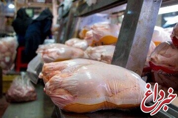 آخرین قیمت مرغ در بازار؛ ۳۵ تا ۳۸ هزار تومان